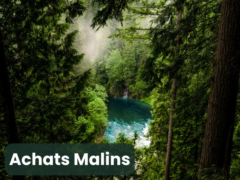 Packs et achats malins Nov'Acti