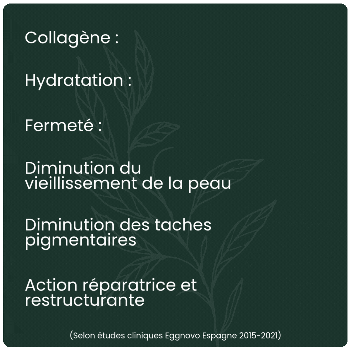 Images_produits4