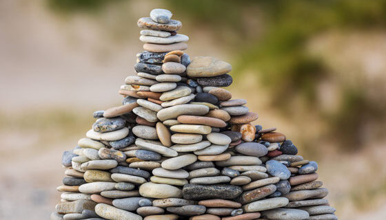image (7)